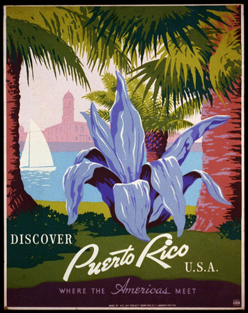Puerto Rico Flower
